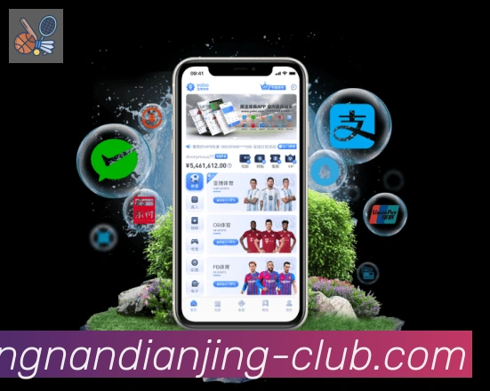 App Interface Preview